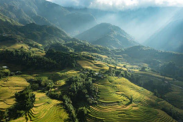 Best Time to Visit Sapa: Discover Vietnam's Scenic Highlands