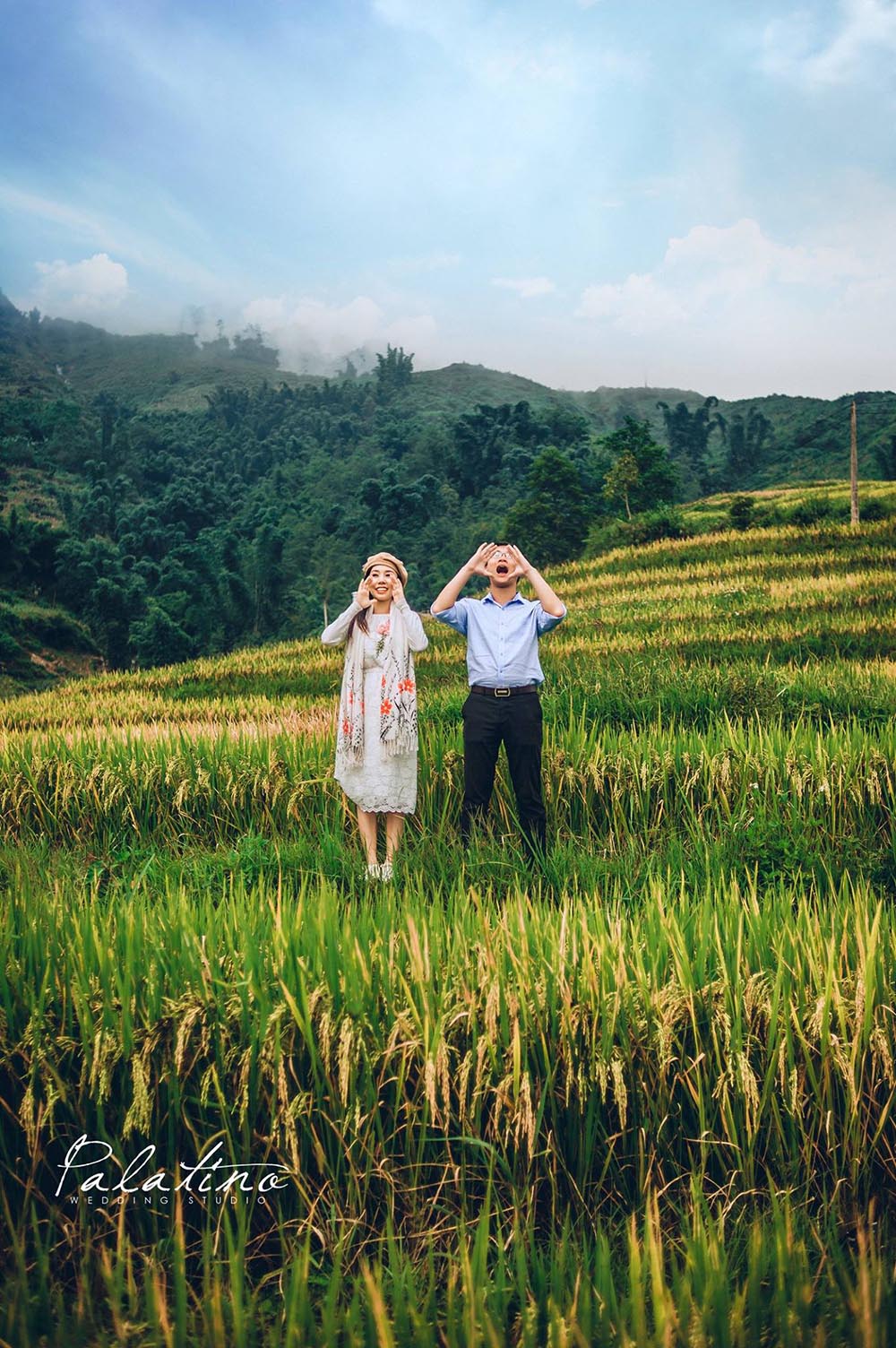 Serene Rice Terraces in Sapa