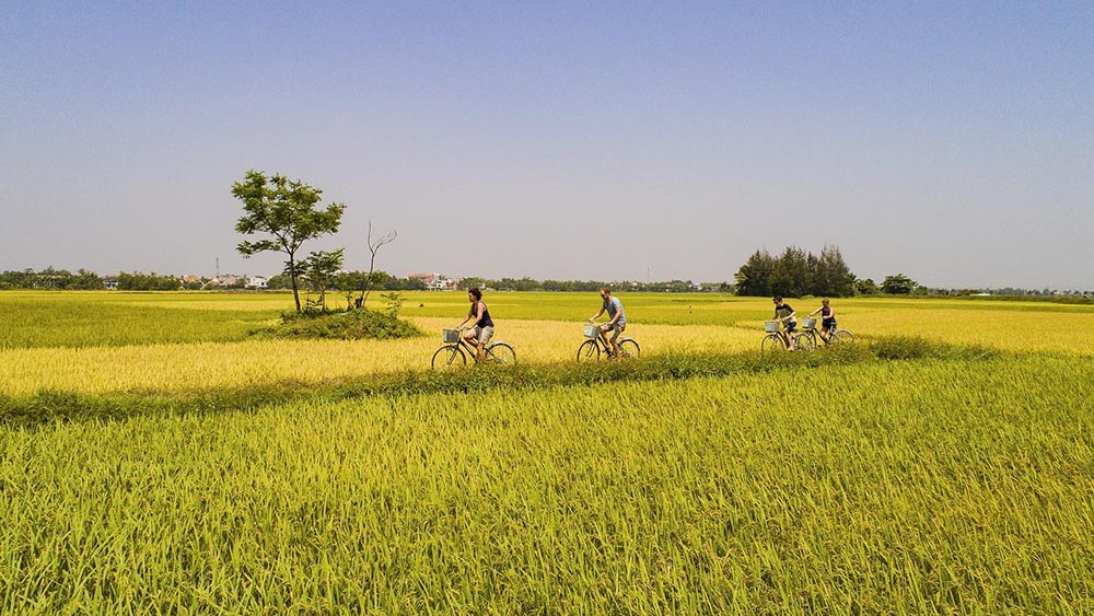 Biking Tours Hoi An