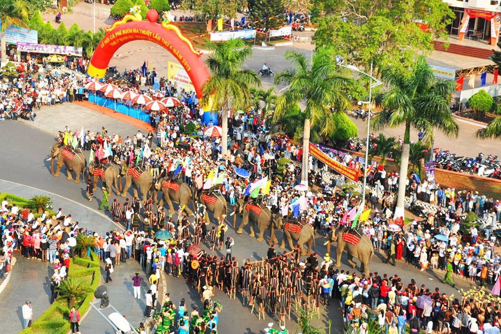 Coffee Festival: Celebrating Coffee Traditions