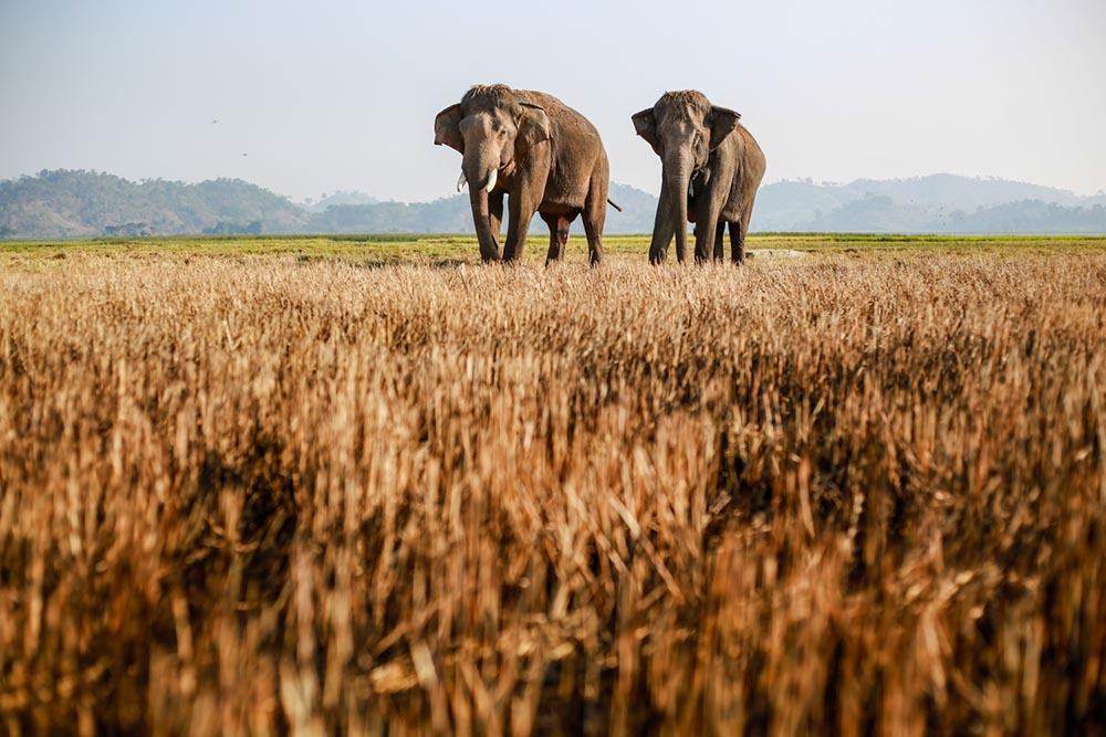 Best time to visit Dak Lak