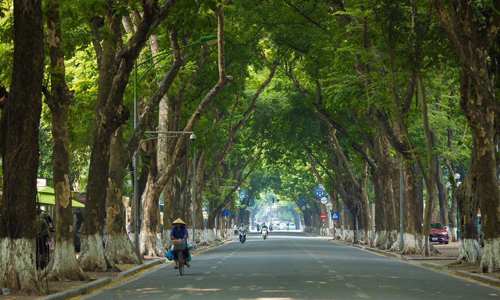 Best Time to Visit Ha Noi